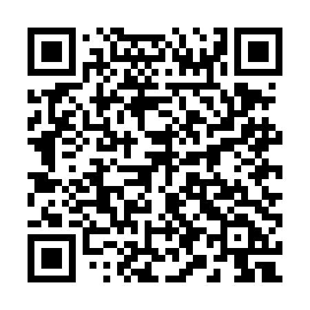 QR code for 295DDD