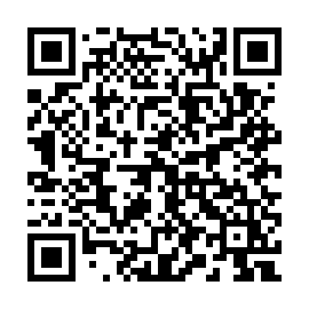 QR code for 295EUZ