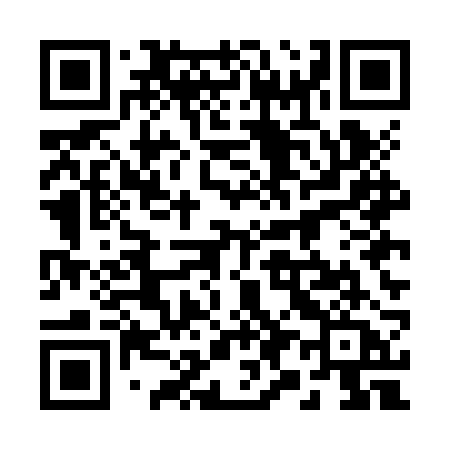 QR code for 295JRA