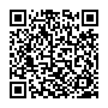 QR code for 295NRO