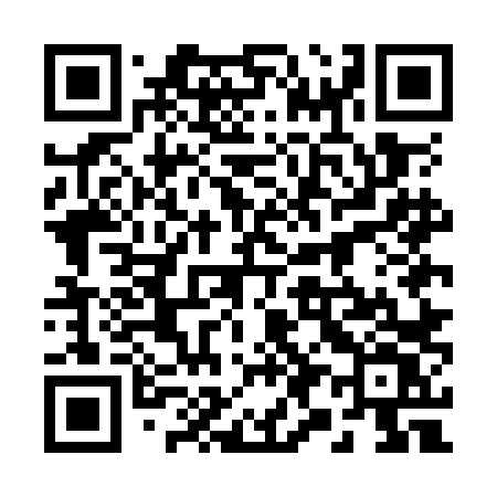 QR code for 295OLV