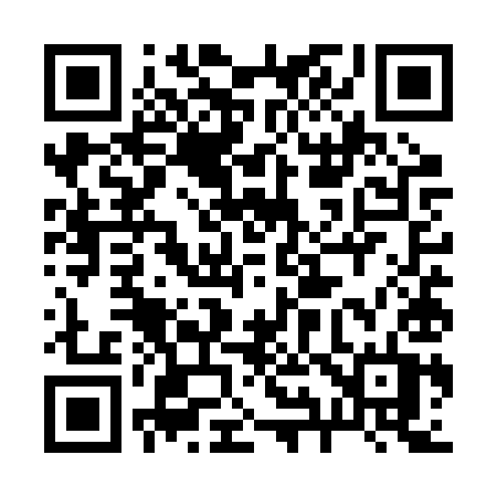 QR code for 295RYT