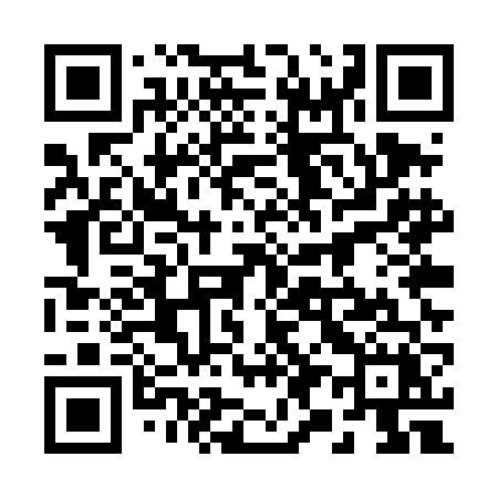 QR code for 295TFX