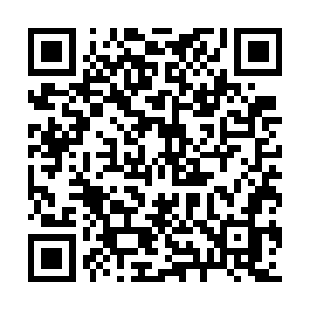 QR code for 295WGJ