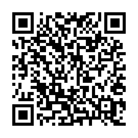 QR code for 295YEE
