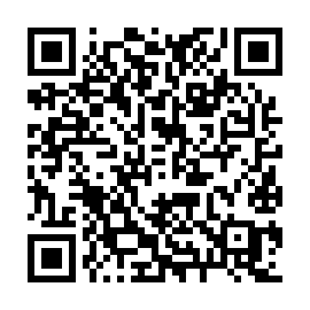 QR code for 29619A