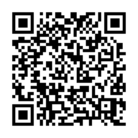 QR code for 29629S