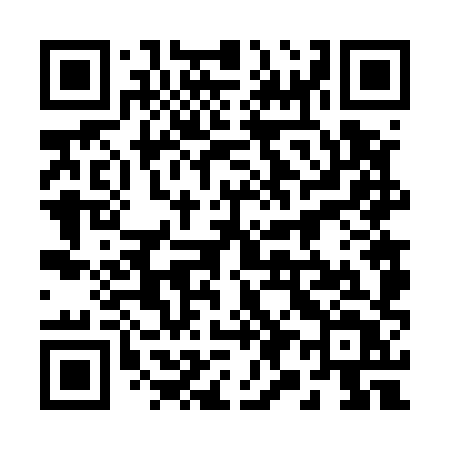 QR code for 29658T