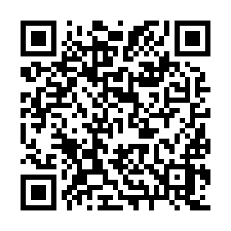 QR code for 29689Z