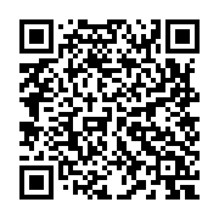 QR code for 29794T