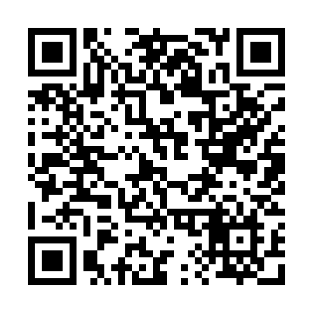 QR code for 29913N