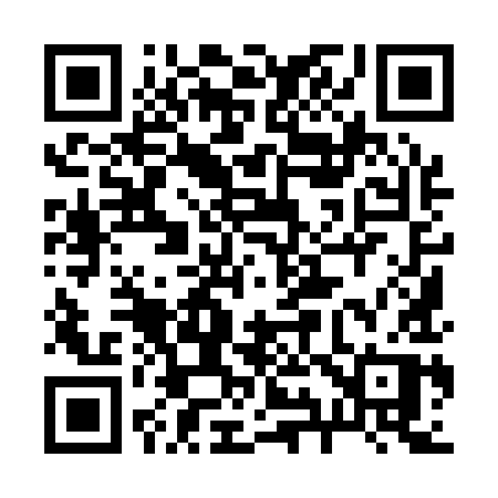 QR code for 29919P
