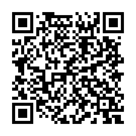 QR code for 29955S