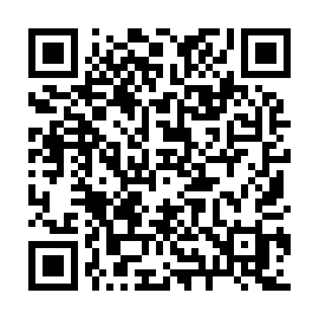 QR code for 29991I