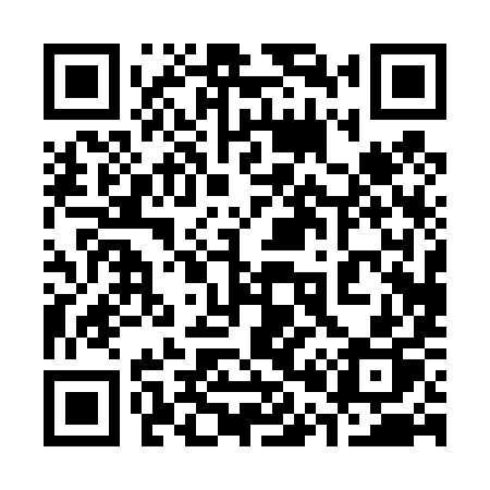 QR code for 30049P