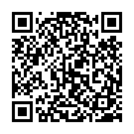 QR code for 300DFS