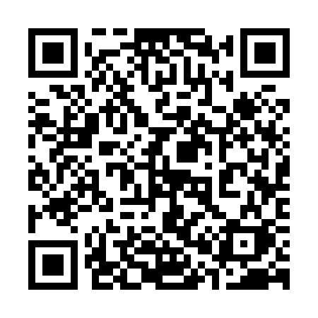 QR code for 30383K