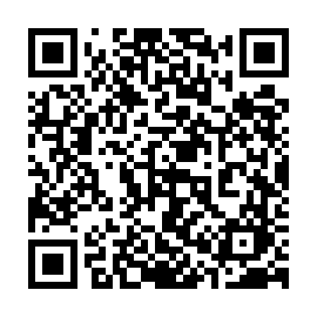 QR code for 306UFO