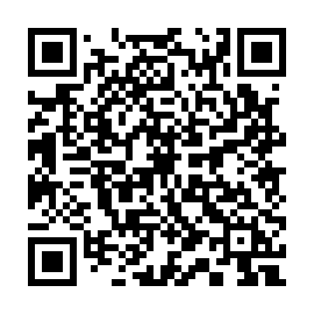 QR code for 31010H