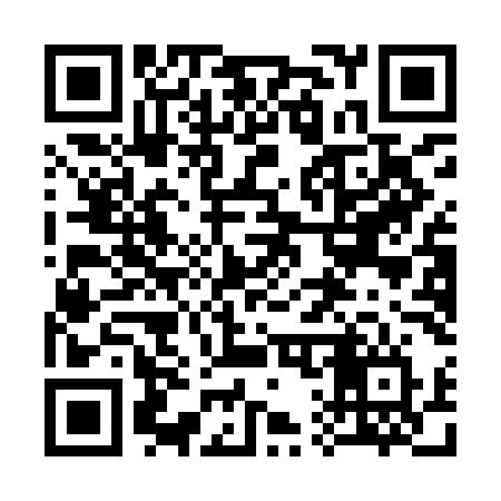 QR code for 311IMV