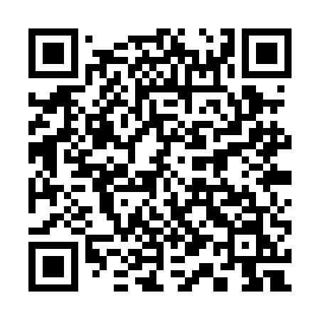 QR code for 311PEN