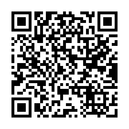 QR code for 311PFF
