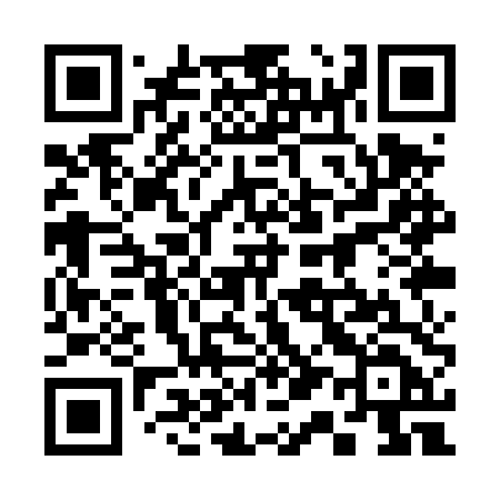 QR code for 311TTD