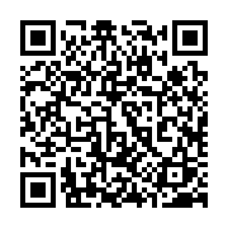 QR code for 31233S