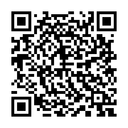QR code for 31317B