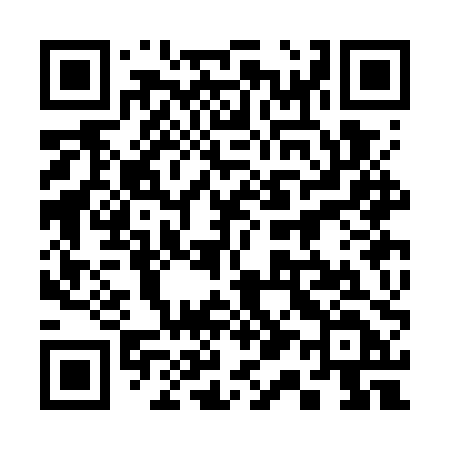 QR code for 313GPD