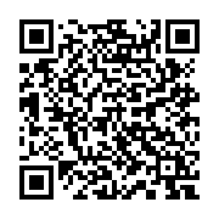 QR code for 313JFX