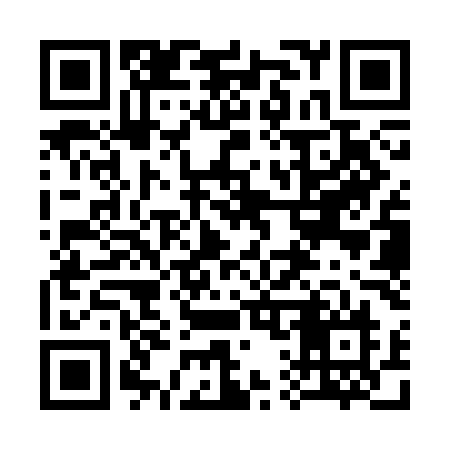 QR code for 313SMN