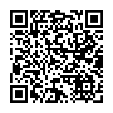 QR code for 313SMO