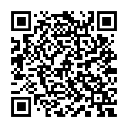 QR code for 313VWW
