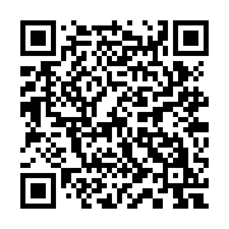 QR code for 313ZAO