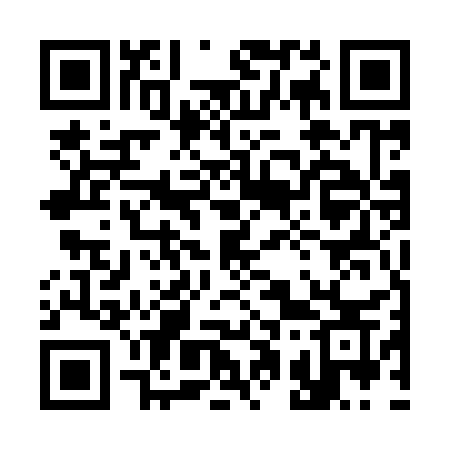 QR code for 31593S