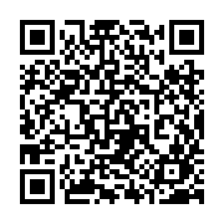 QR code for 319SIN