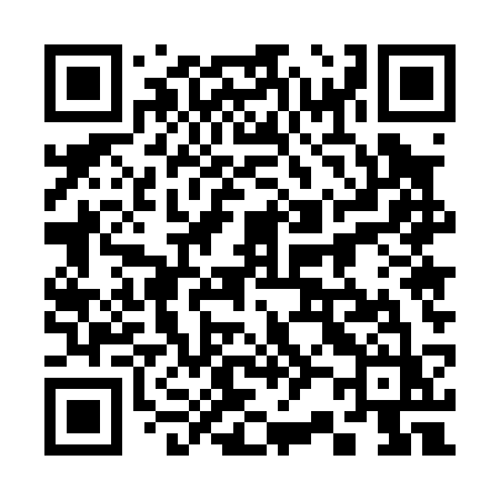 QR code for 32503Z