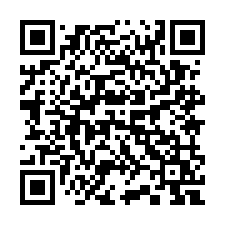 QR code for 3295MU