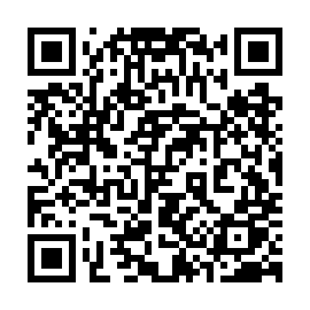 QR code for 333GMP