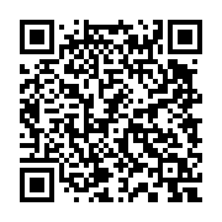 QR code for 33441T