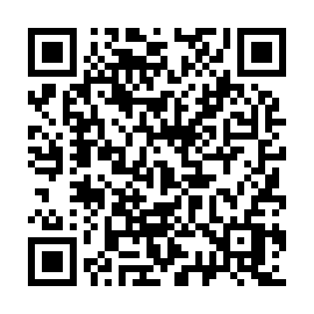 QR code for 33493V