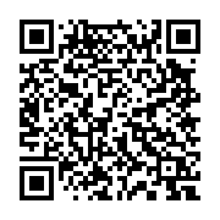 QR code for 33506P