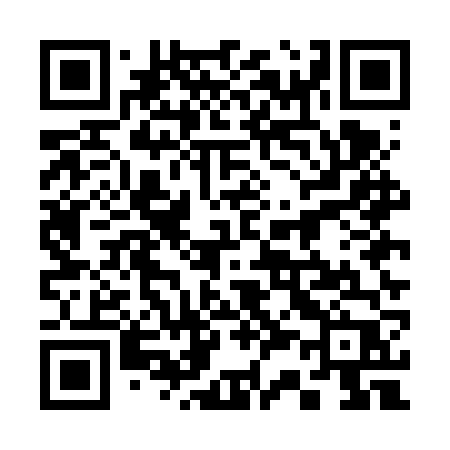 QR code for 335FVP