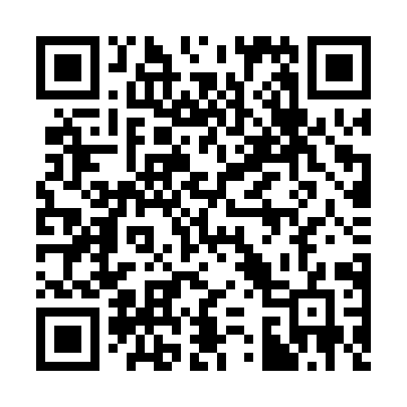 QR code for 335PYG