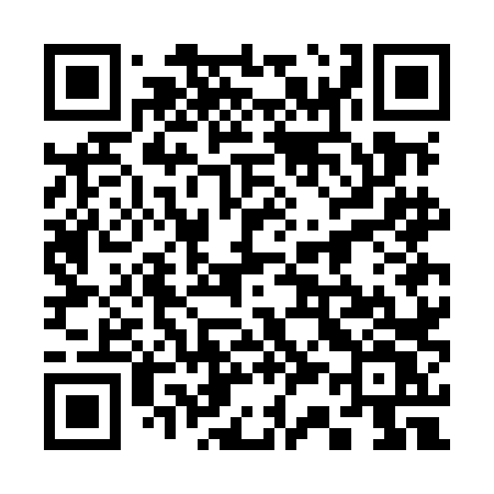 QR code for 337MLV