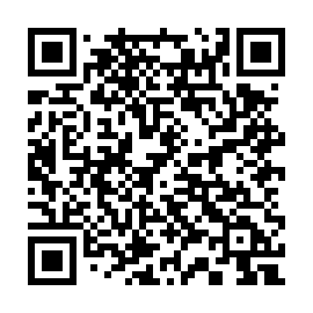 QR code for 338DUD