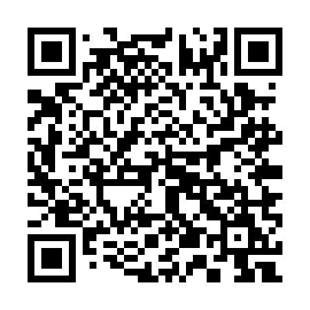 QR code for 355PMM