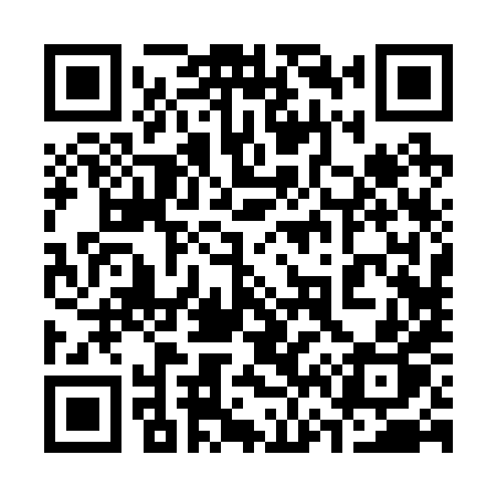 QR code for 36228P