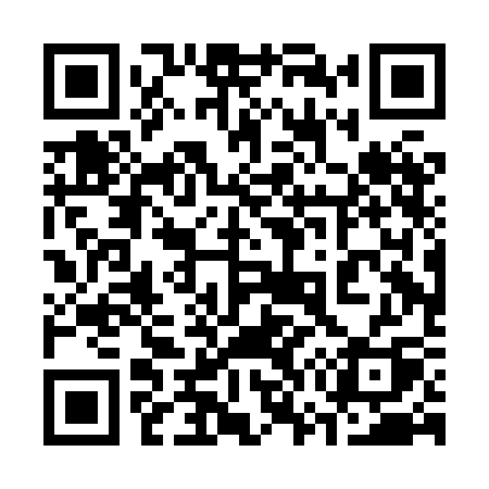 QR code for 370HCQ